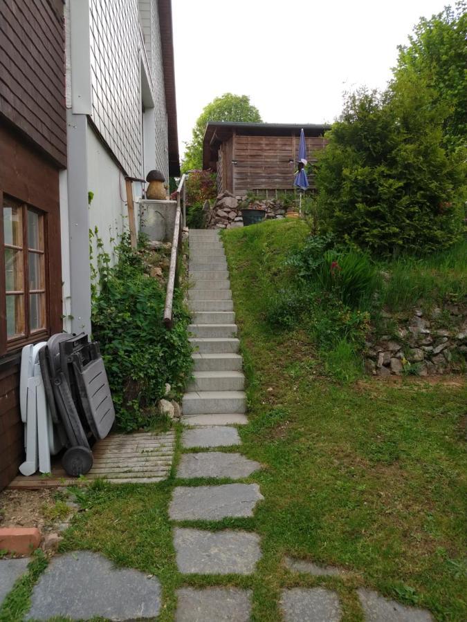 Schoene Aussicht Todtnau Exterior photo
