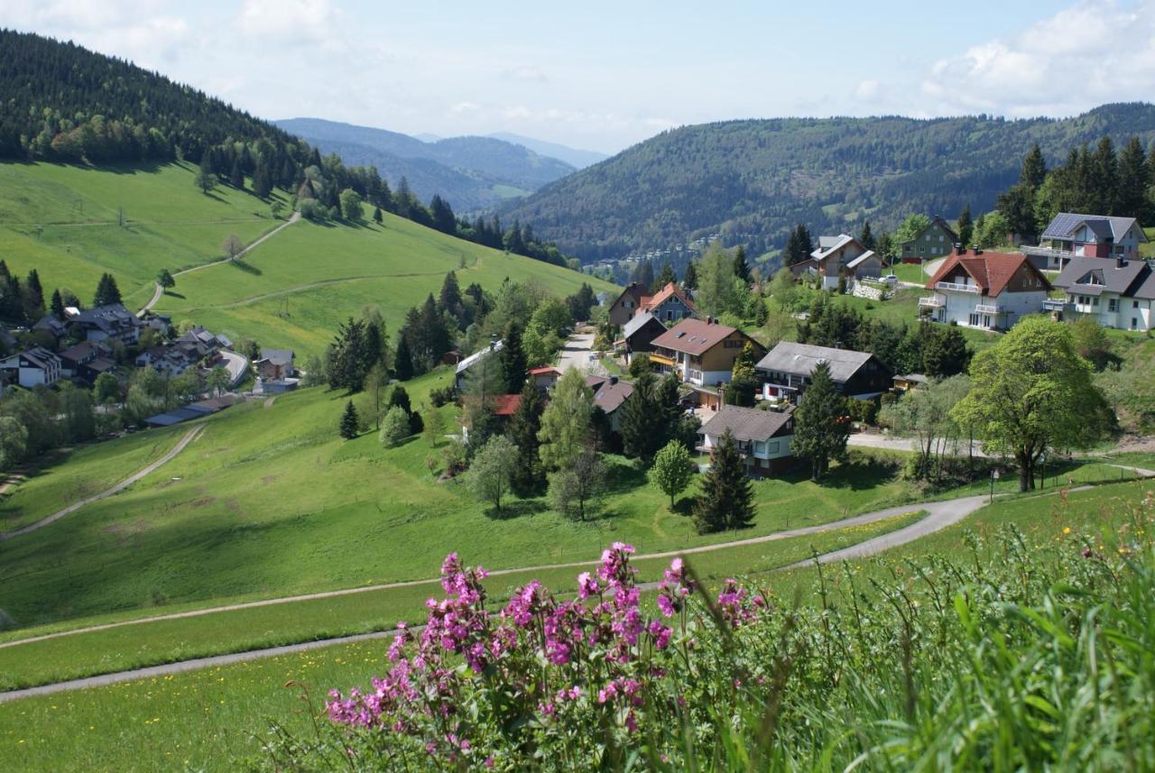 Schoene Aussicht Todtnau Exterior photo